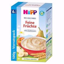Picture of Hipp Bio Milchbrei Feine Früchte 500g (德國喜寶有機無糖水果米糊500g)