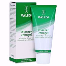 Picture of Weleda Pflanzen Zahngel 75ml (唯美達天然有機草本牙膏75ml)